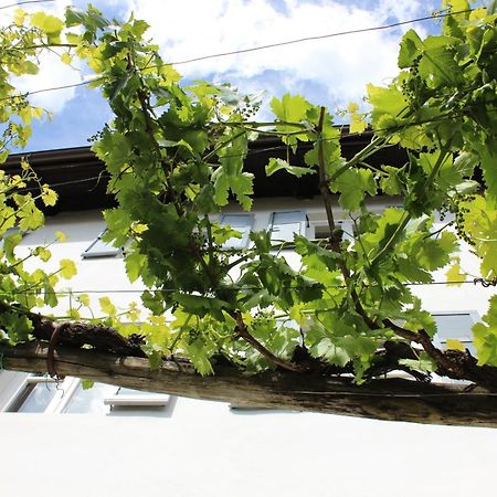 Weingut Pardellerhof Villa Marlengo Bagian luar foto