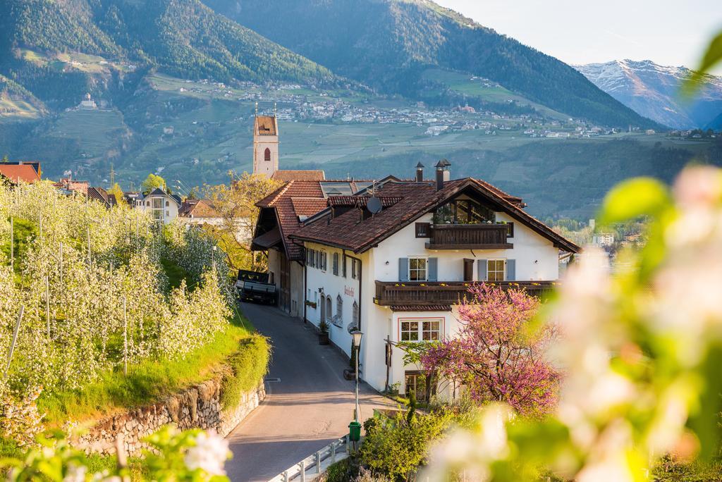 Weingut Pardellerhof Villa Marlengo Bagian luar foto